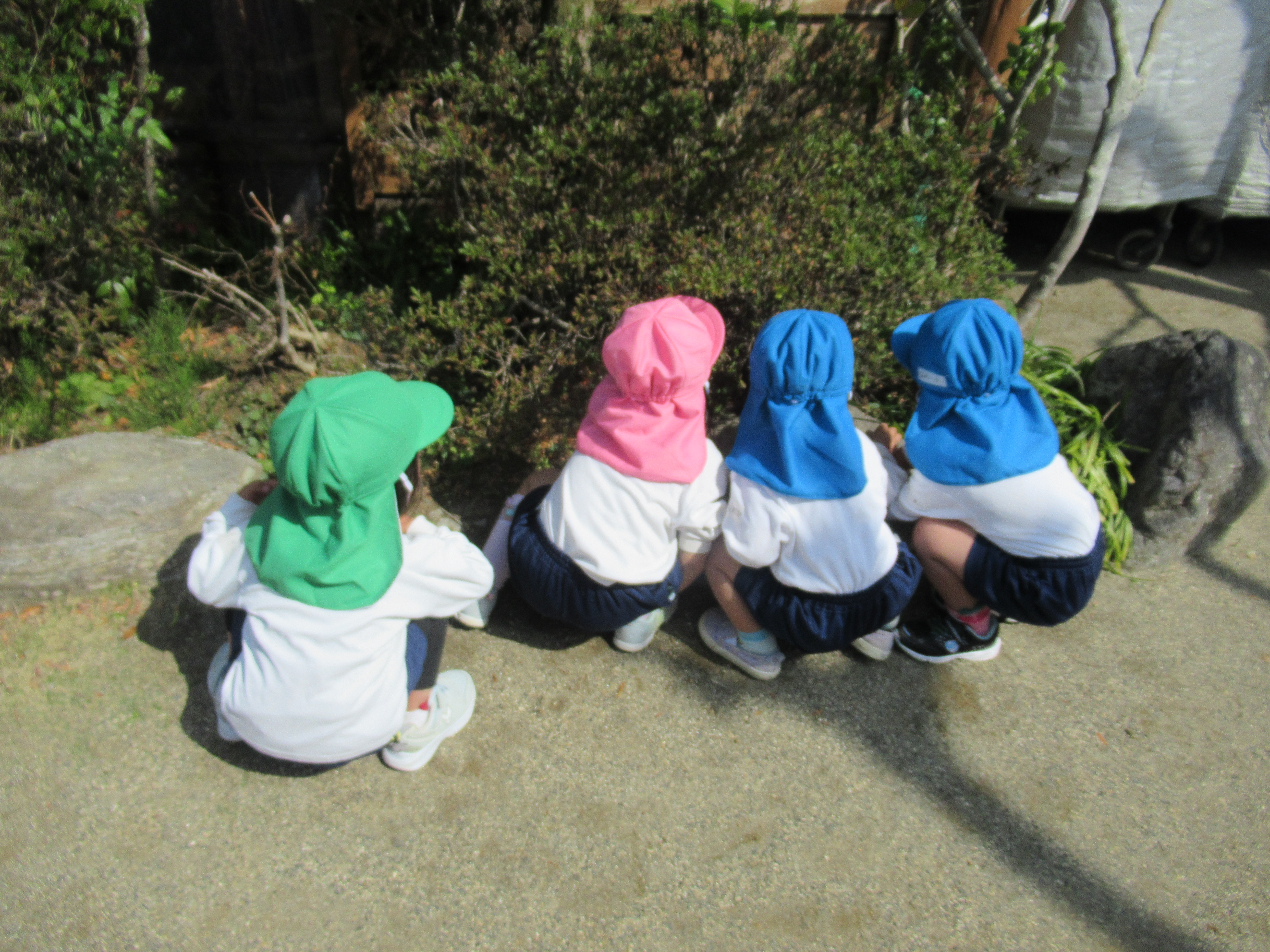 園内施設イメージ